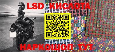 прущие грибы Будённовск