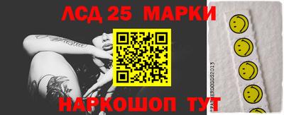 прущие грибы Будённовск