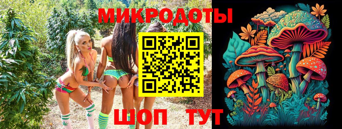 Галлюциногенные грибы ЛСД  Галлюциногенные грибы GOLDEN TEACHER  как найти   Красноармейск  Вход с VPN 