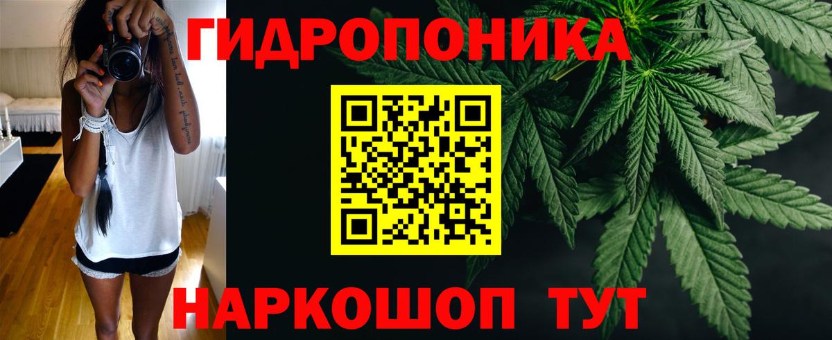 Галлюциногенные грибы Красноармейск
